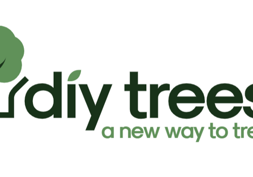 Branding Package Example: DIY Trees Branding