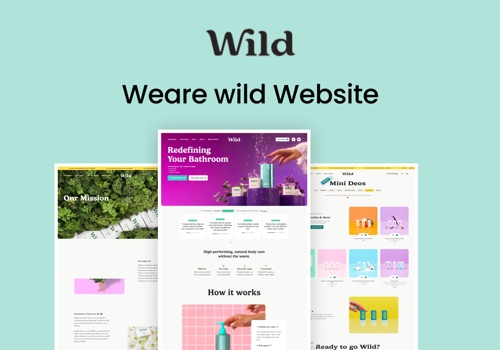 Web Development Package Example: Weare Wild