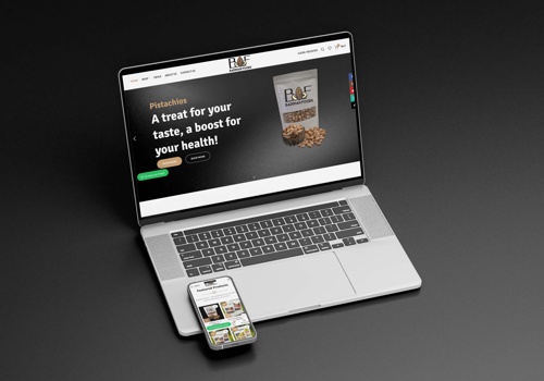 Web Development Package Example: Badshah Foods