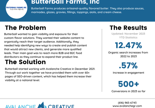 Search Engine Optimization Package Example: Butterball Farms, Inc Case Study