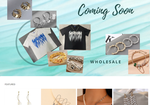 Web Development Package Example: Fashion Infinity