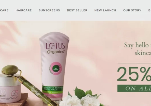 Search Engine Optimization Package Example: E-commerce SEO for Lotus Organics