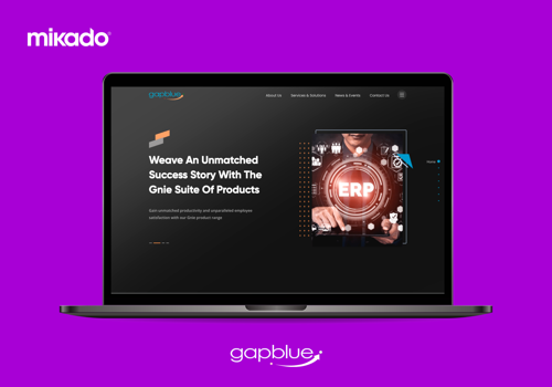 Web Design Package Example: gapblue