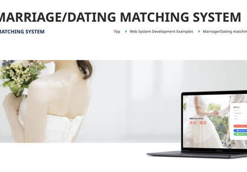Custom Software Development Package Example: Marriage/Dating matching system