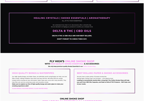 Web Design Package Example: Website Design & Development - Fly High Essentials