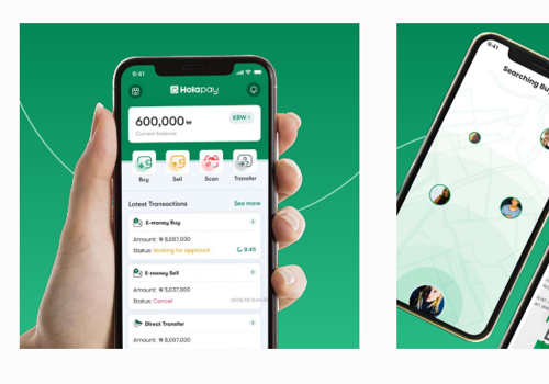 Custom Software Development Package Example: Digital e-Wallet Fintech Evolution