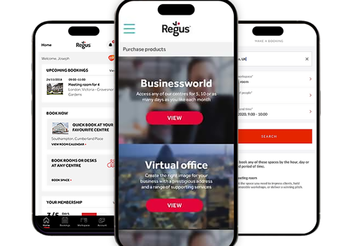 Mobile App Development Package Example: Create Web Platform & Smartphone Application