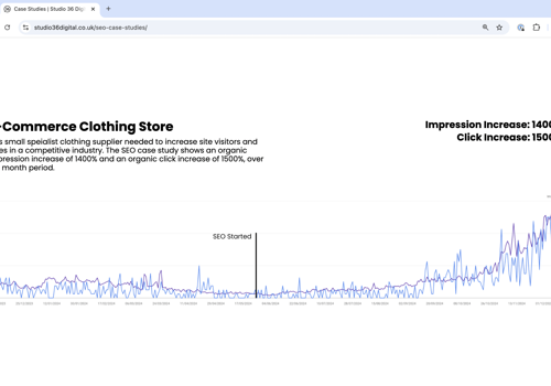 Search Engine Optimization Package Example: E-Commerce Clothing Store: 1500% Click Increase
