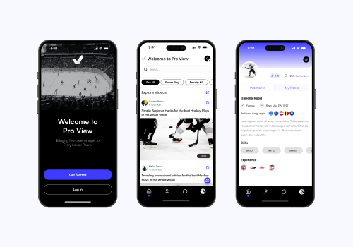 Branding Package Example: Pro View