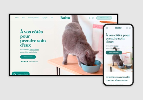 Web Design Package Example: Balto Store Setup