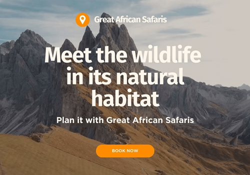 Ecommerce Marketing Package Example: Great Uganda Safaris - Website Development
