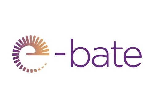 Custom Software Development Package Example: Reveal your hidden rebate revenue