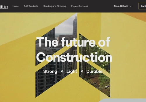 Web Development Package Example: PIXEL PERFECT WORK FOR ORILITE