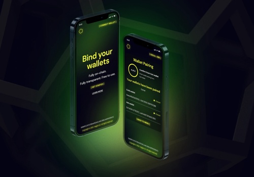 Web Development Package Example: WALLETREGISTRY