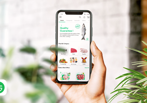 Mobile App Development Package Example: Dailyfresh