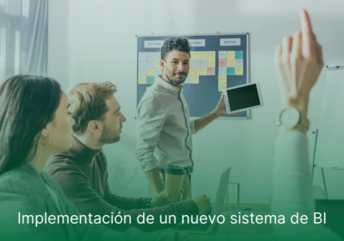 IT Strategy Consulting Package Example: Implementation of a new BI system