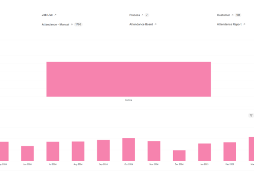 ERP Consulting and SI Package Example: ERPNext Implementation - WSL