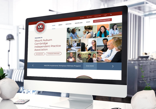 Web Design Package Example: MACIPA Project