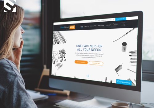 Web Design Package Example: MicroGroup Project