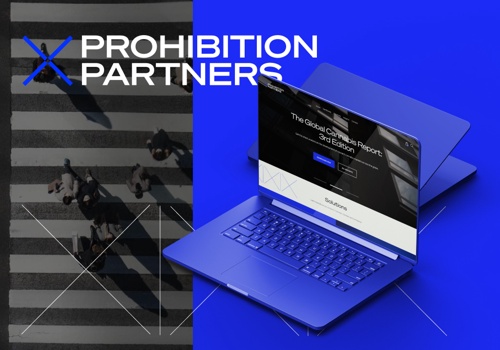 UX/UI Design Package Example: WordPress development in B2B Cannabis Industry