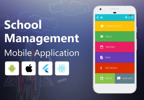 Custom Software Development Package Example: School Management Application