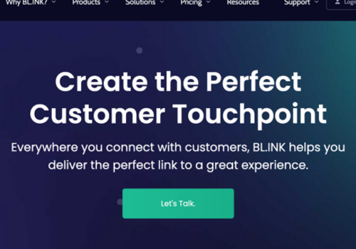 Custom Software Development Package Example: URL management Platform | BL.INK