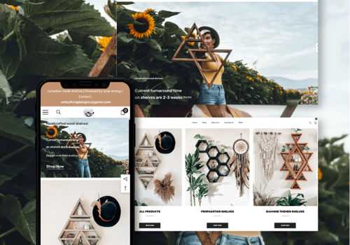 Web Design Package Example: Website and e-commerce development on Shopify