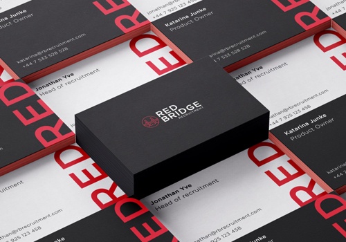 Branding Package Example: RED BRIDGE - Logo