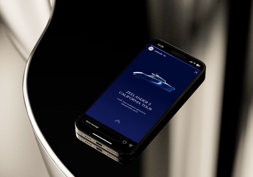 Web Design Package Example: Zeelander — Brand Identity and Website Design