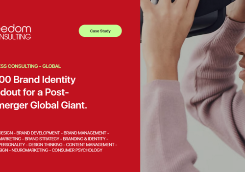 Branding Package Example: FREEDOM Consulting Inc. Global Identity Footprint