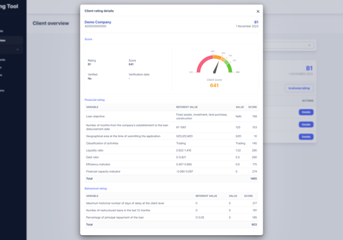 Custom Software Development Package Example: InteliLoan - Enhanced Credit Management