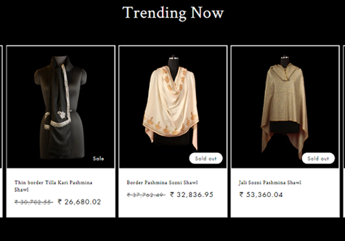 Branding Package Example: Ecommerce Website For Arnimaal