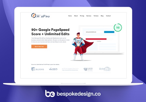 Web Design Package Example: WordPress Developer Tools website