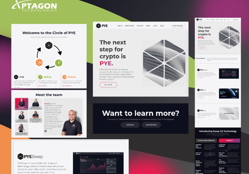 Blockchain Package Example: Blockchain Development and Whitepaper for Pye