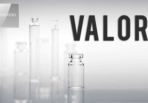 Branding Package Example: Valor Glass - Pharma glass naming for Corn