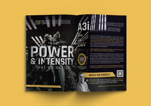 Advertising Package Example: Fohse Digital Marketing Strategy