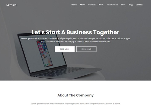 Web Design Package Example: Muna - Business Landing Page Template
