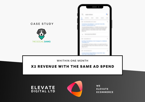 Pay Per Click Package Example: x2 Revenue with the same ad spend in 1 month