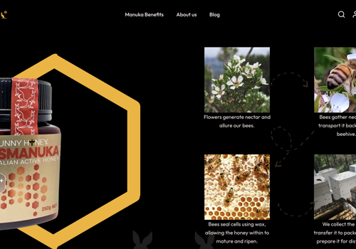 E-Commerce Development Package Example: Premium Manuka Honey E-commerce Platform