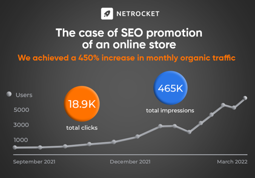 Search Engine Optimization Package Example: The case of SEO promotion of an online store