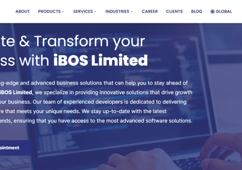 Web Design Package Example: Enhancing Web Design & User Experience for Color S