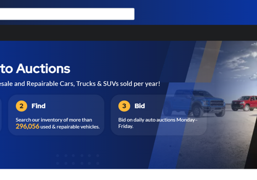 Web Development Package Example: Back End Web Development of Copart Website