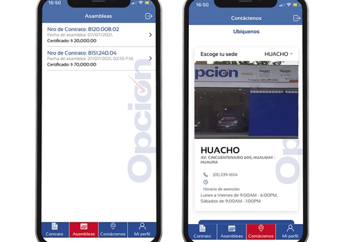 Mobile App Development Package Example: Mobile App Opcion