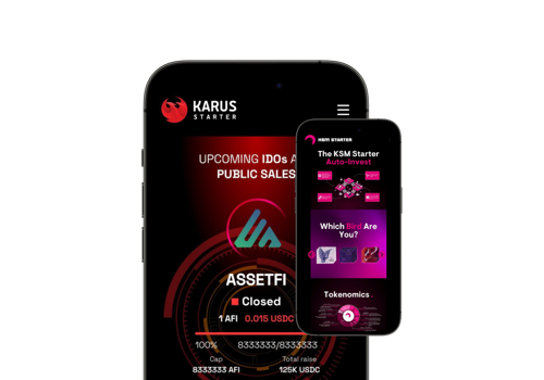 Web Development Package Example: KSM Starter. Blockchain & Finance