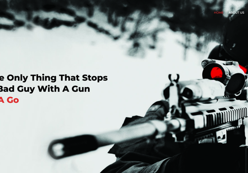 Web Development Package Example: Tactical Arms - Web Design