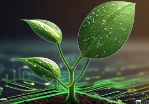 Custom Software Development Package Example: Rachio Smart Sprinkler Controller