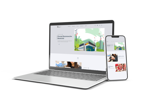 Web Development Package Example: Intranet for Biedronka