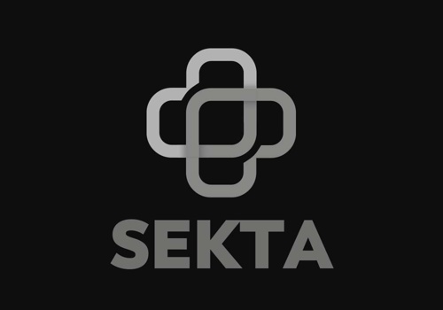 Web Design Package Example: Sekta Brand Development