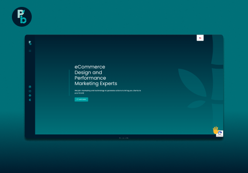Web Development Package Example: Web Development