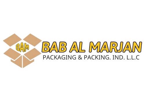 Social Media Marketing Package Example: Website Development & Digital Marketing